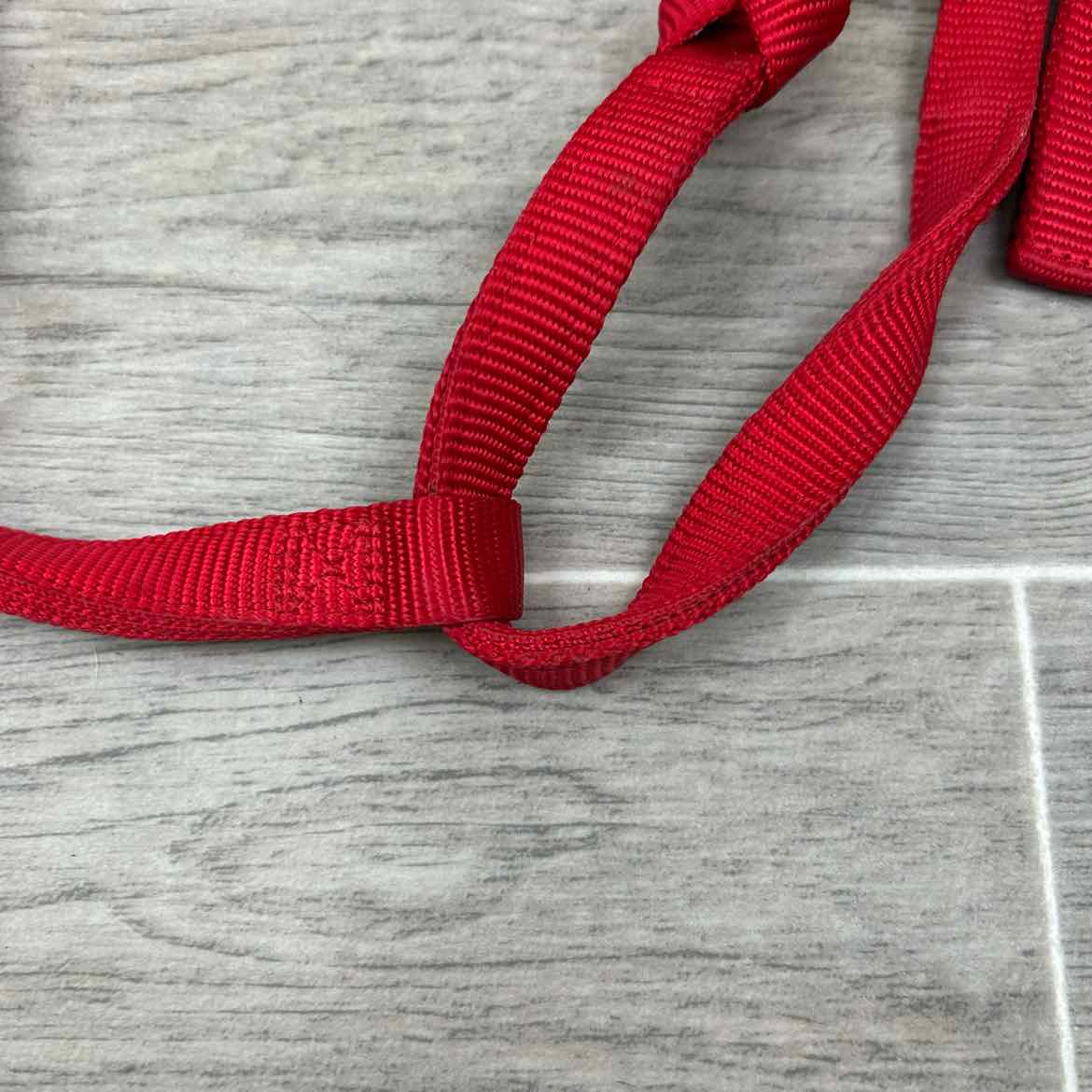 Weaver Leather Nylon Halter, Size Medium Arabian