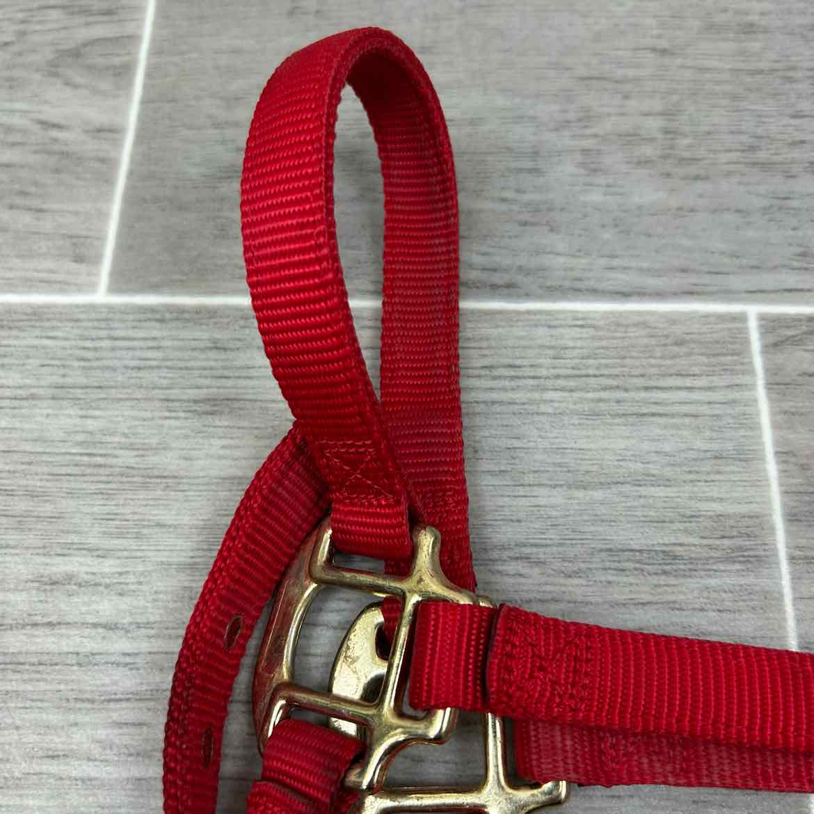 Weaver Leather Nylon Halter, Size Medium Arabian