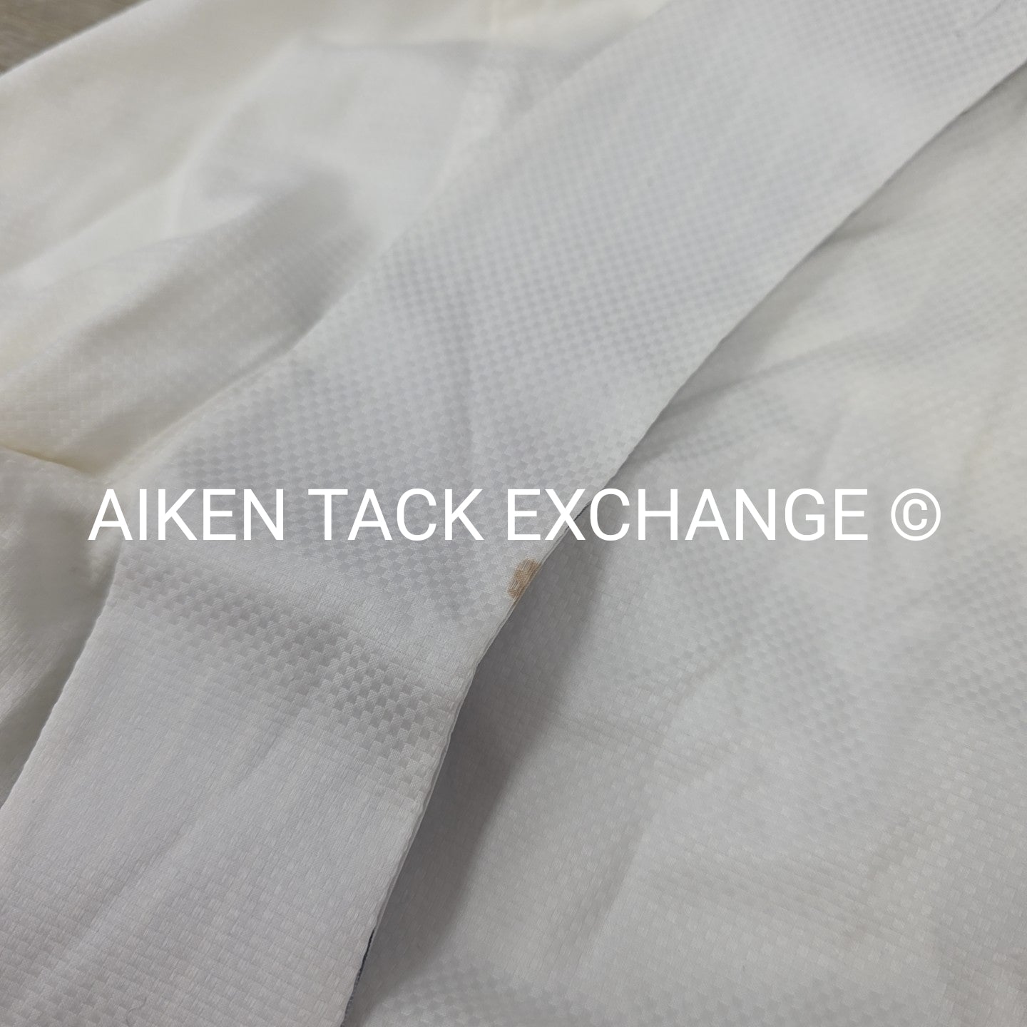 Allon Equestrian Show Shirt, Women's 34
