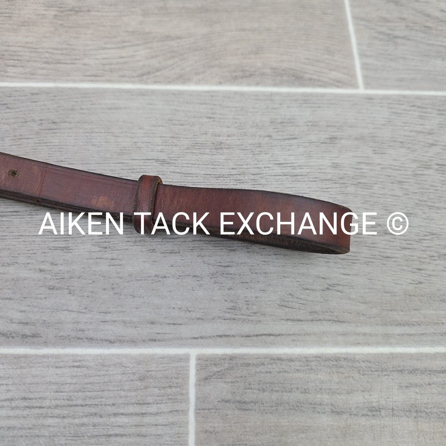 Edgewood Square Raised Fancy Stitched Standing Martingale, Brown, Oversize