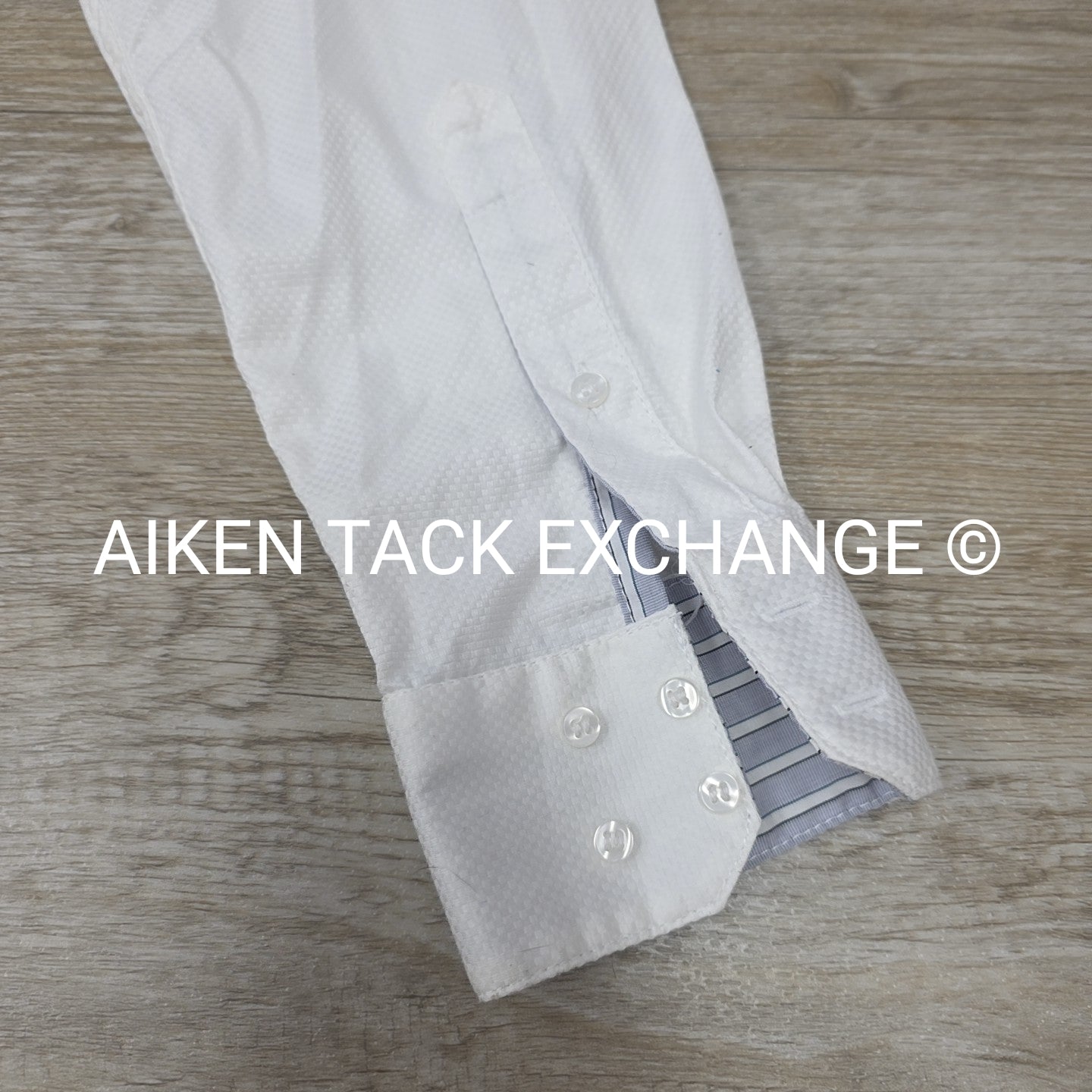 Allon Equestrian Show Shirt, Women's 34