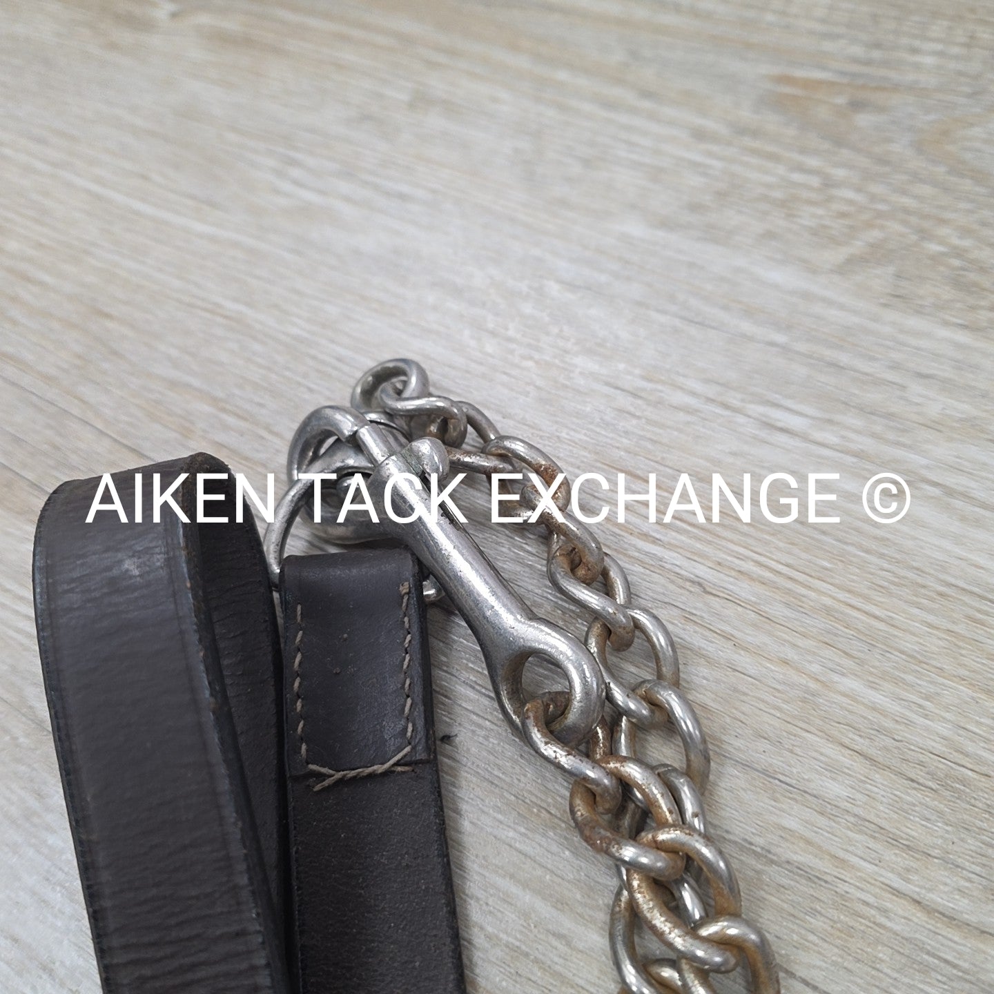 BARGAIN BUNDLE: Cotton Web Lunge Line with Chain & Leather Lead with Chain