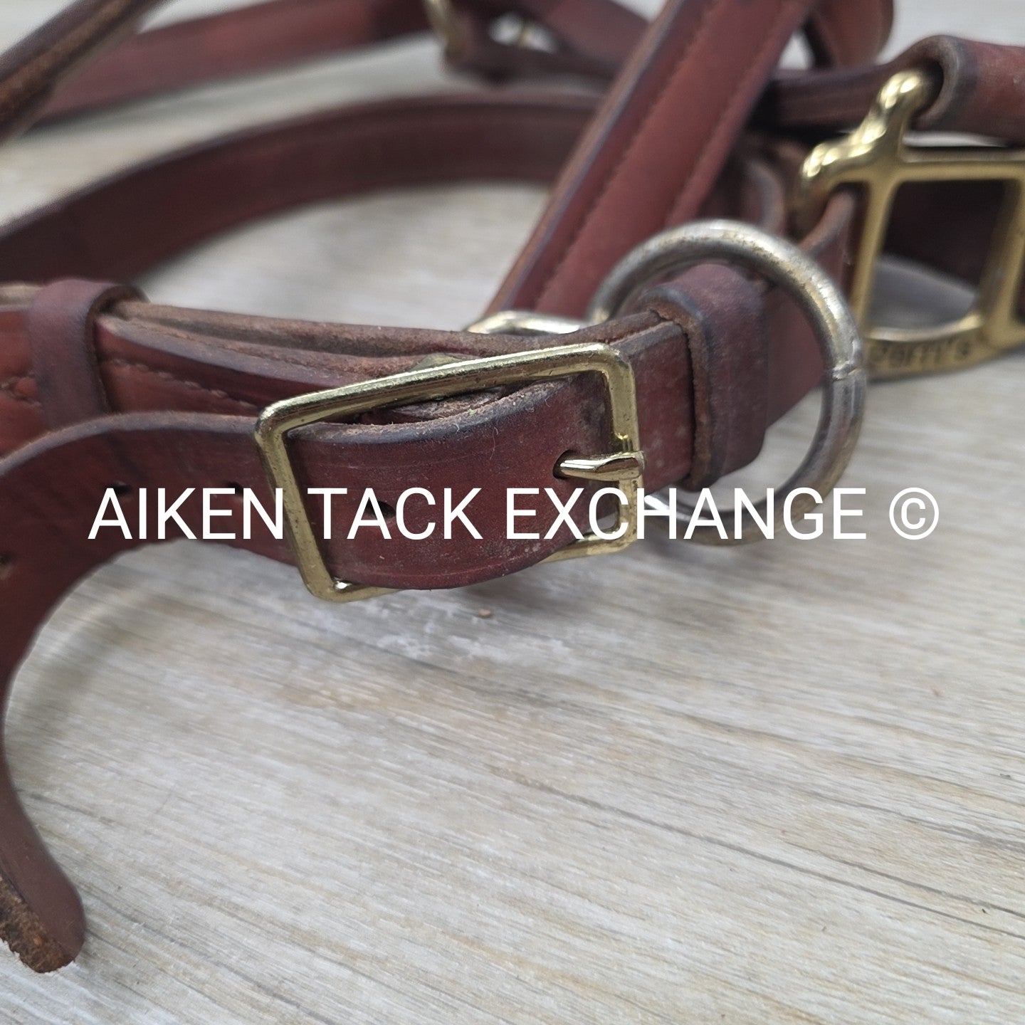BARGAIN BUNDLE: Perri's Leather Halter with Leather Lead Chain