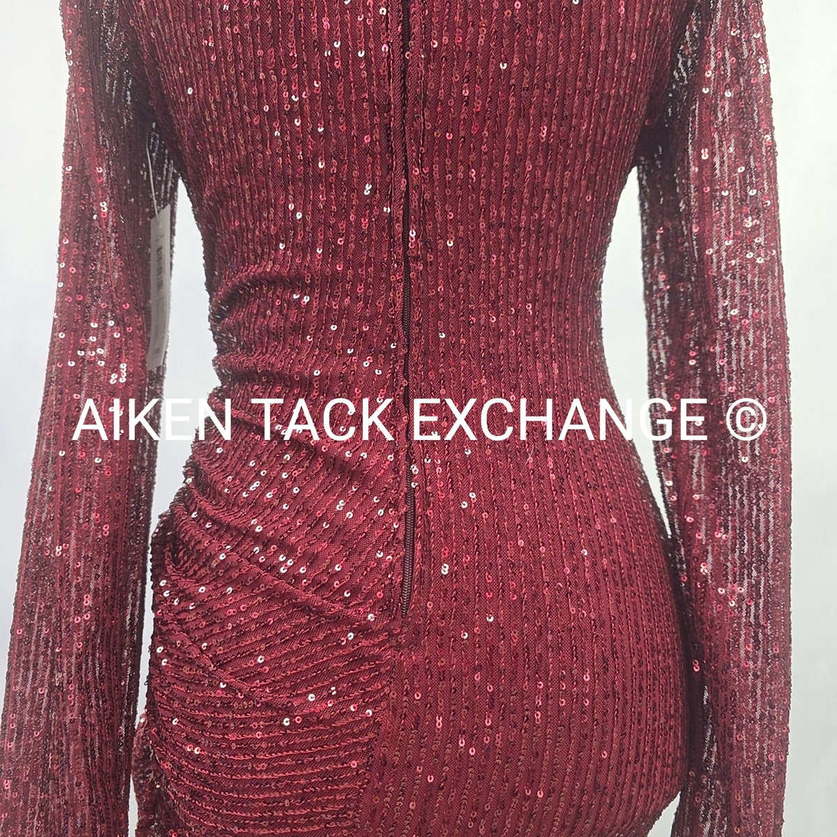 Premier Amour Long Sleeve Dress, Size 4