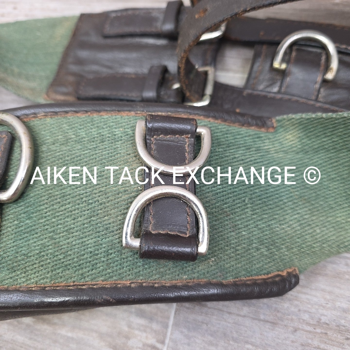 Dover Saddlery Classic Web Lunging Surcingle