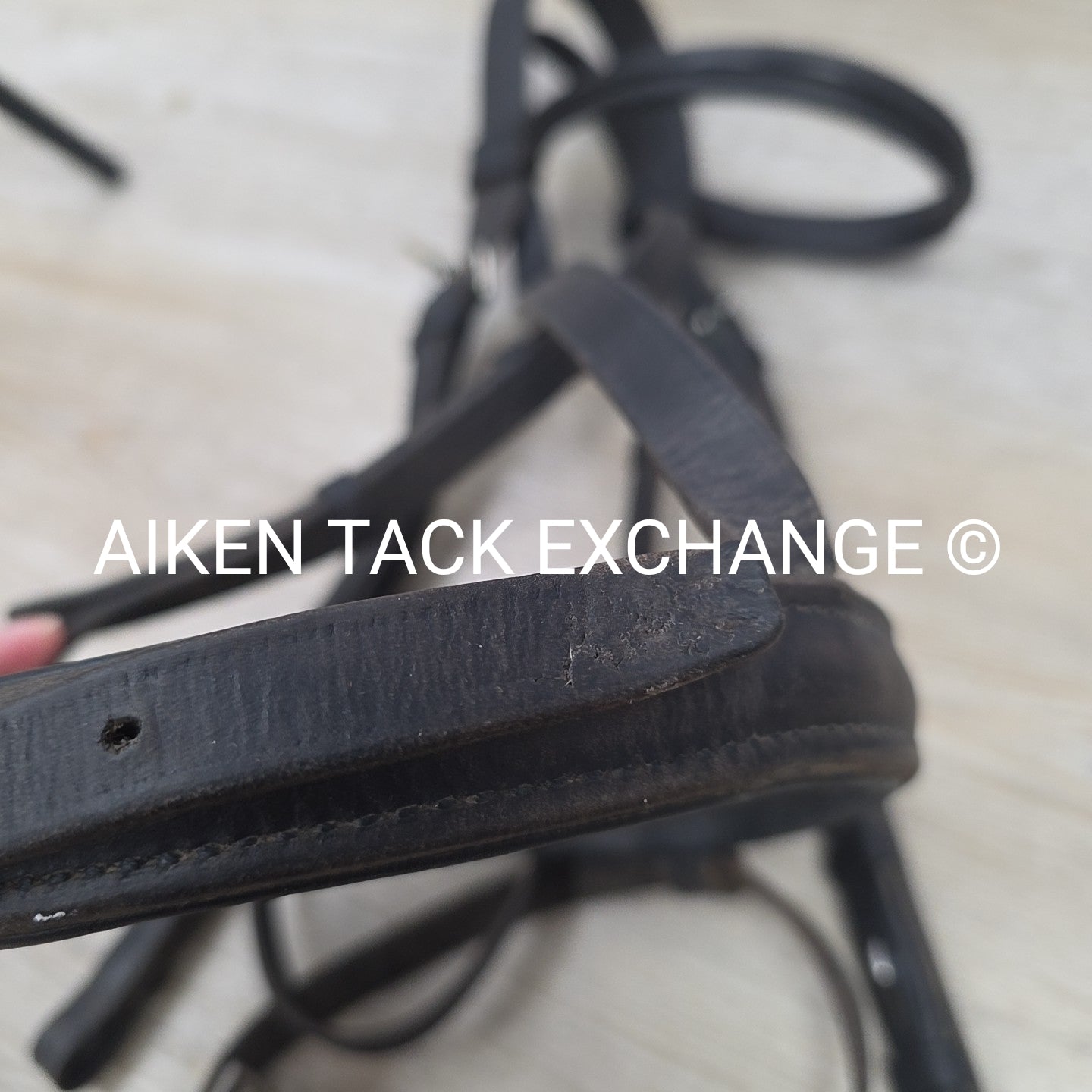 BARGAIN BUNDLE: Otto Schumacher Flash Bridle with Passier Cotton Web Reins, Blac
