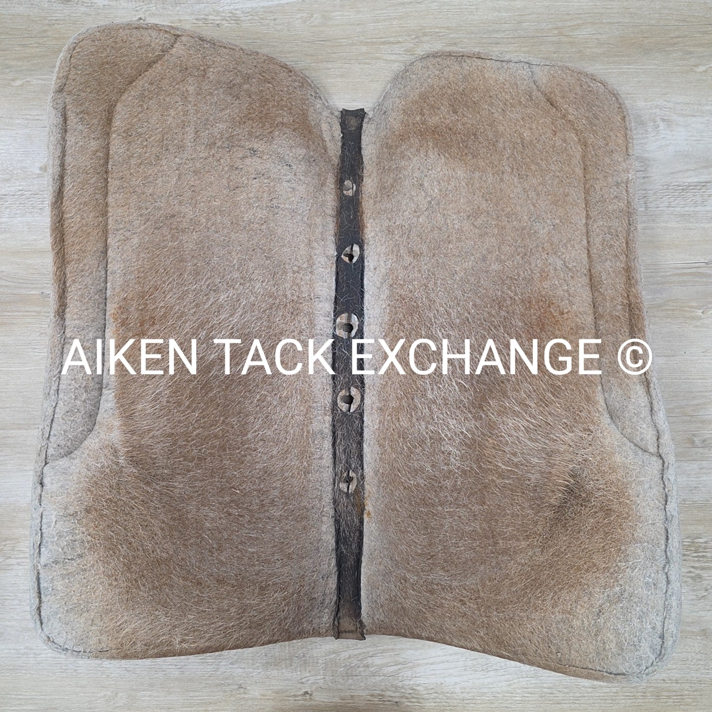 Showman 427 Felt Bottom Saddle Pad with Argentine Cow Hide