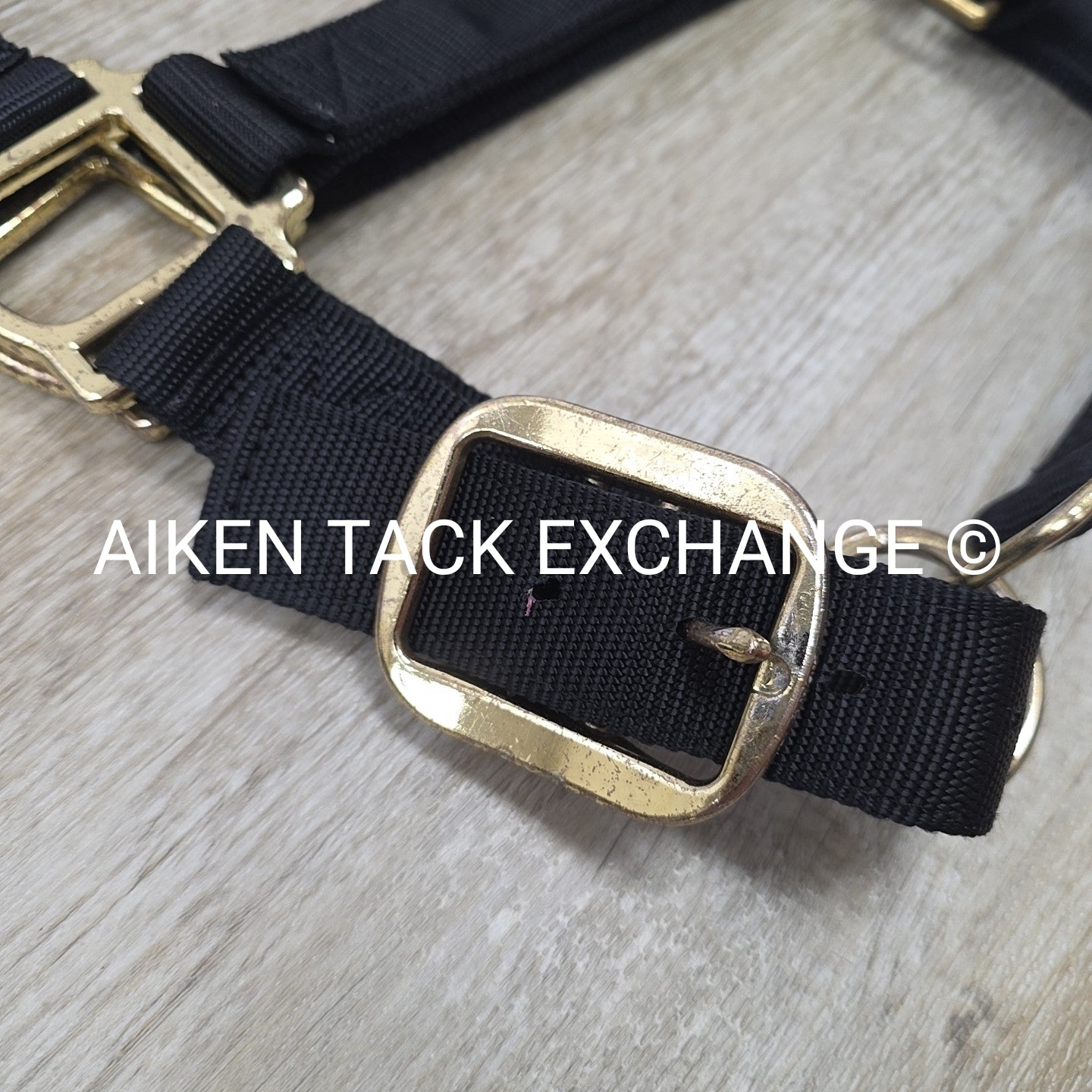 Weaver Leather Halter, Draft
