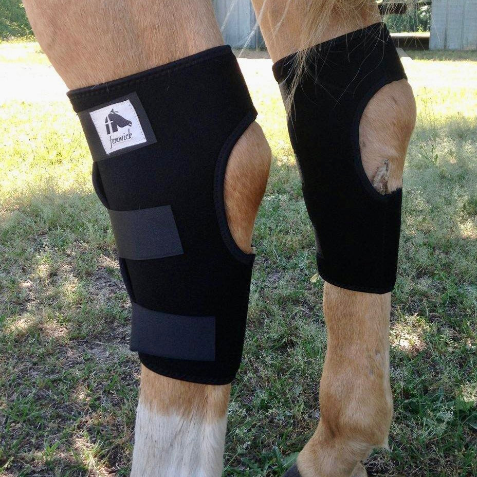 Fenwick Liquid Titanium LT Hock Boots
