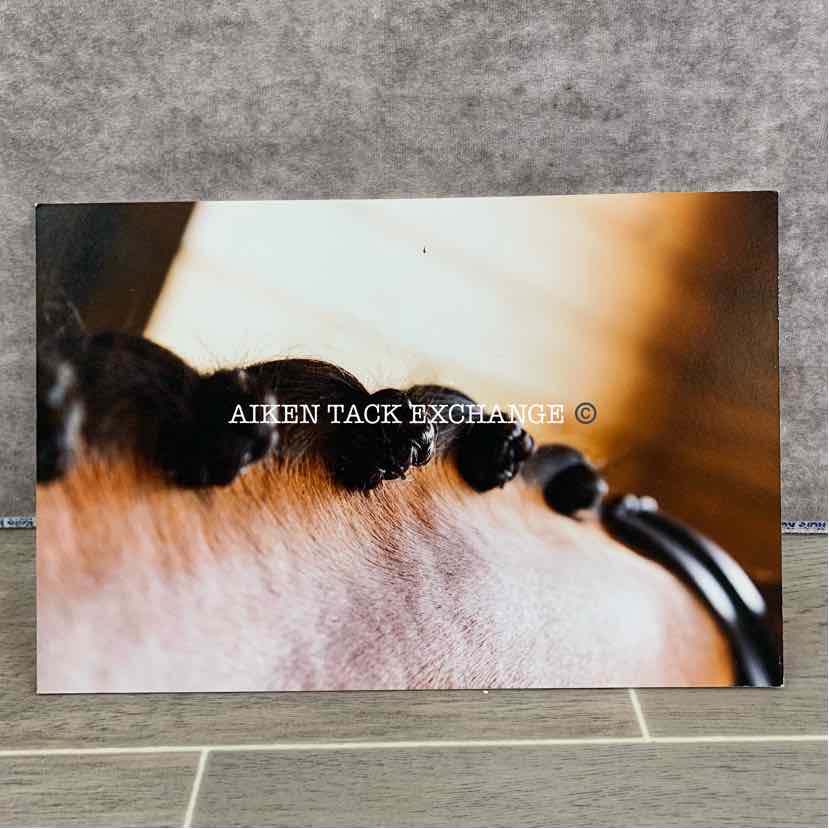 Decorative Mounted Equine Photography (8x12)