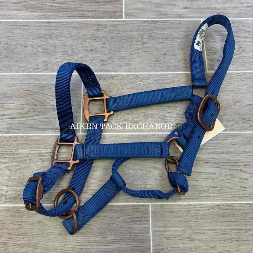 Control & Comfort For Your Equine With A Horse Halter