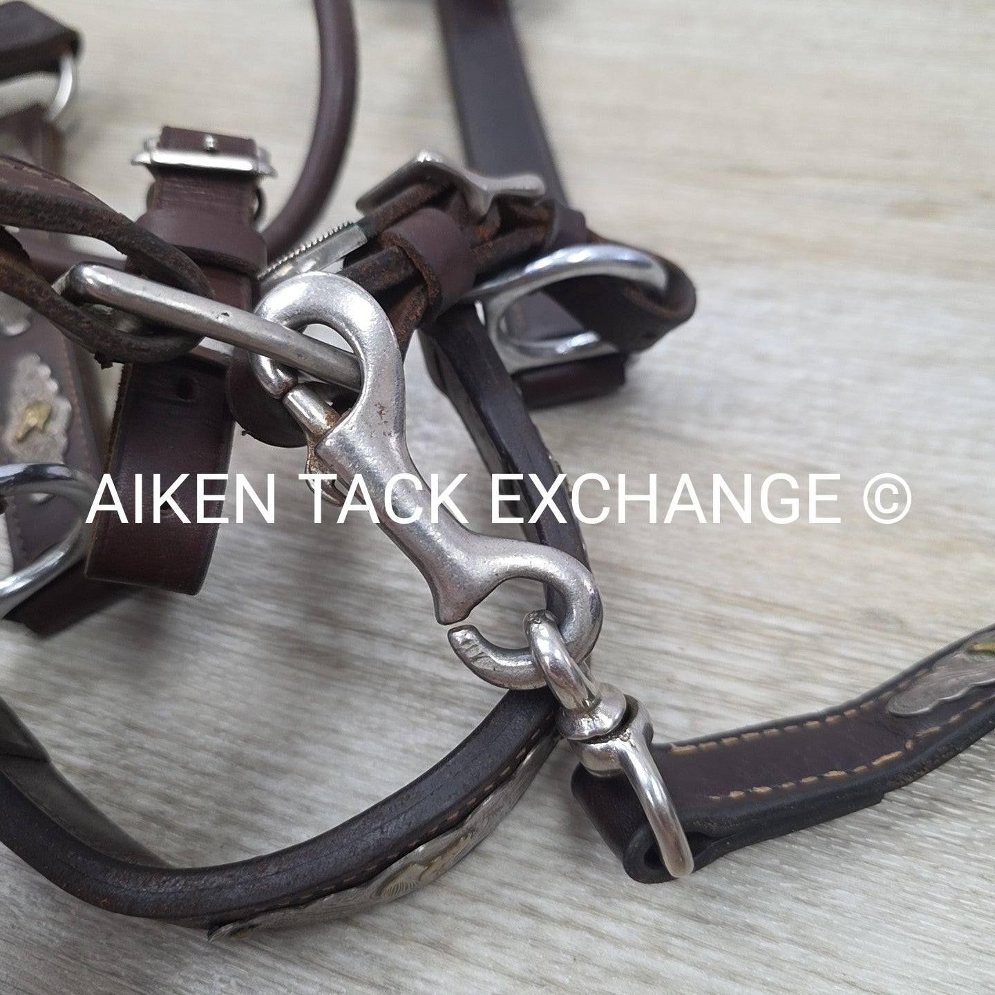 Victor Quality Westen Show Halter with Lead