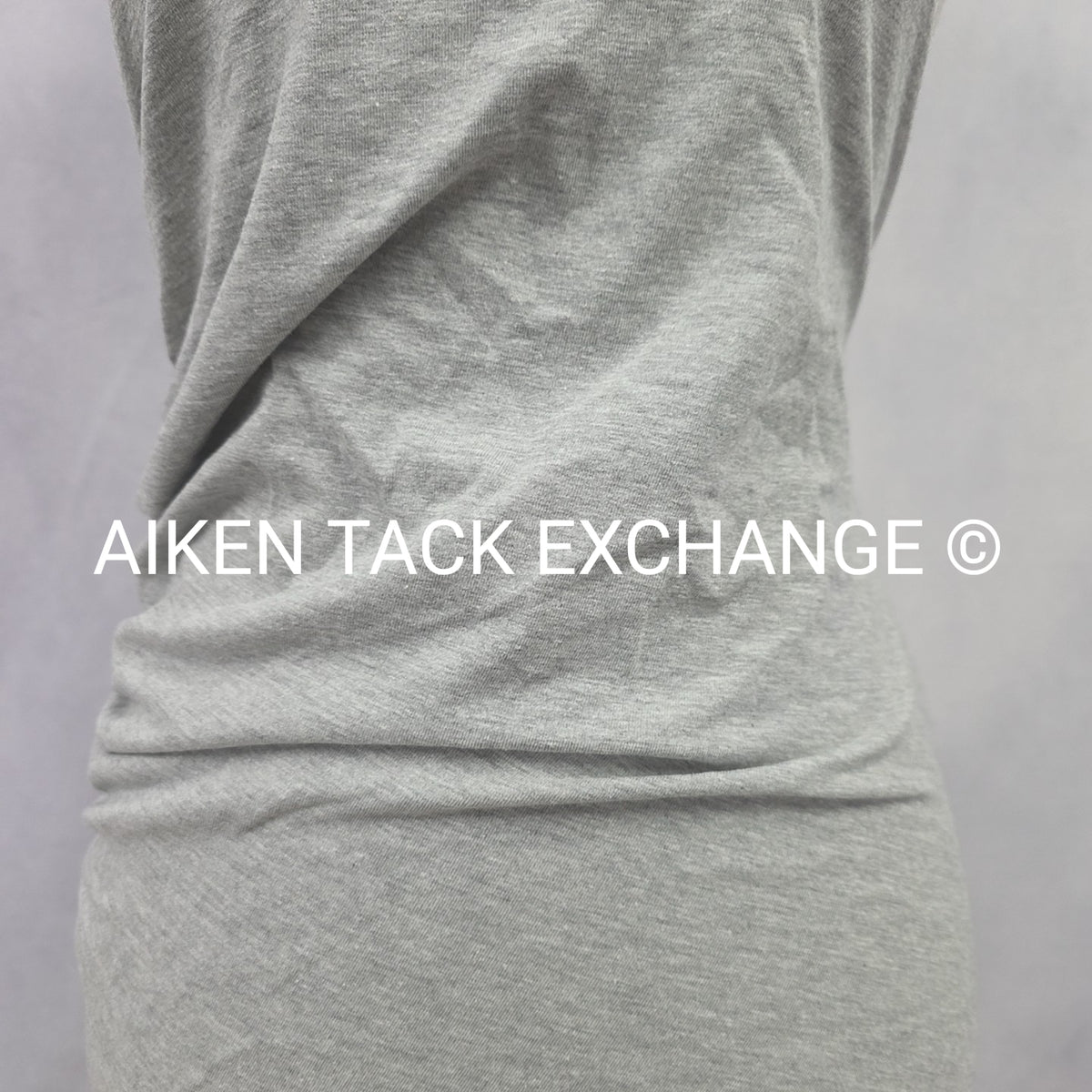 Venus T-Shirt Dress, Size X-Small