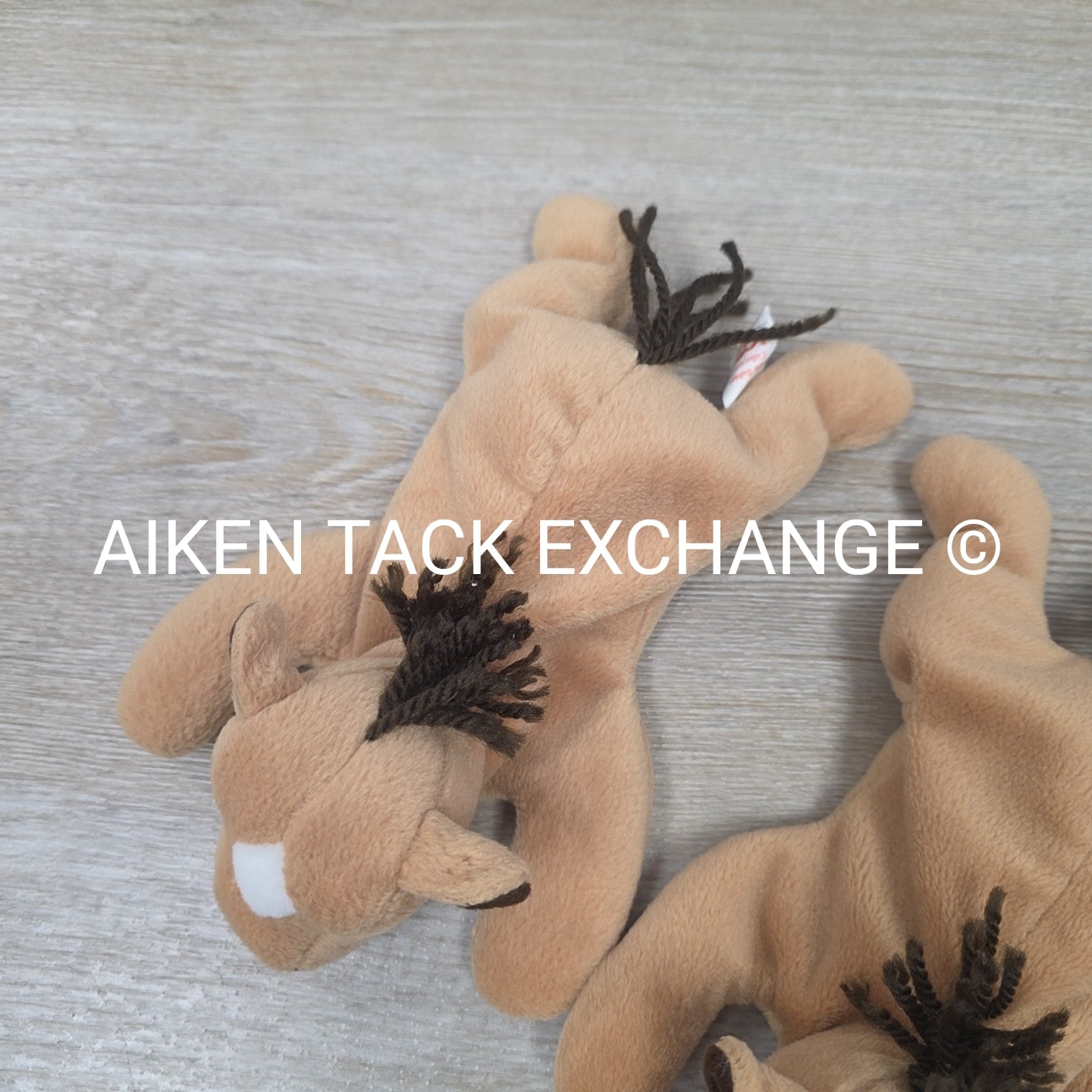 BARGAIN BUNDLE: 2 Derby the Horse Beanie Babies