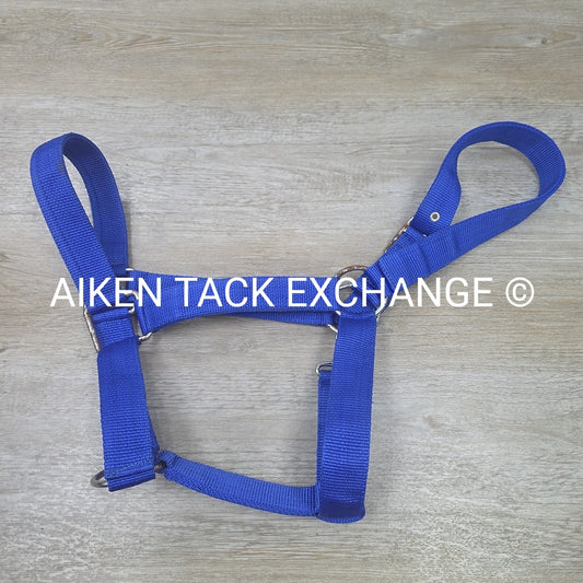 Nylon Halter, Draft