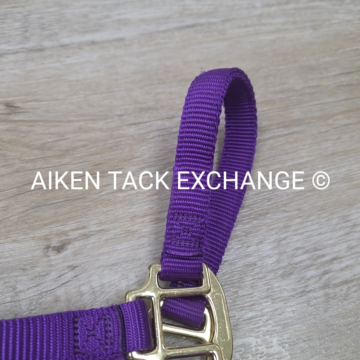 Weaver Leather Nylon Halter, Size Medium Arab