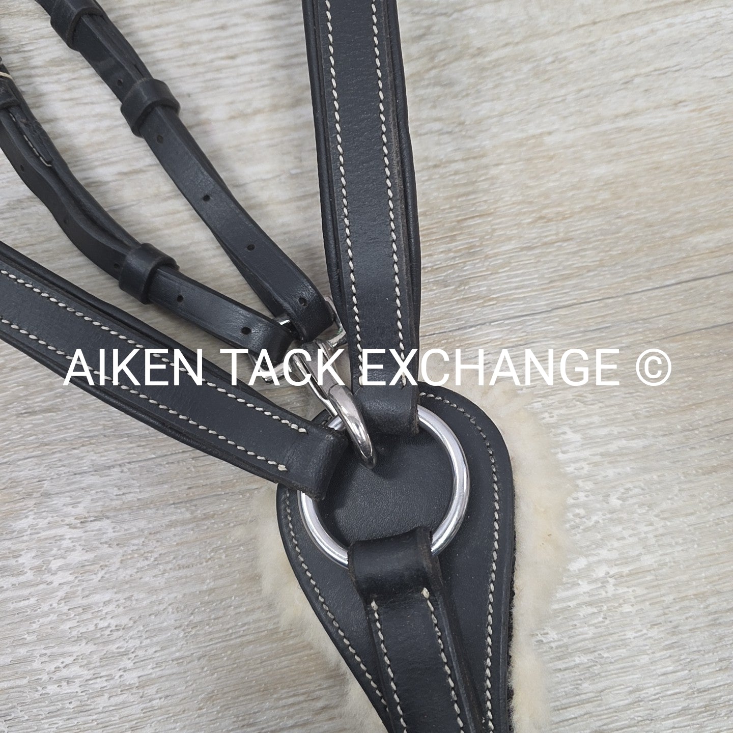 5 Point Elastic Breastplate with Running Martingale Attachment, Black, Size Pony