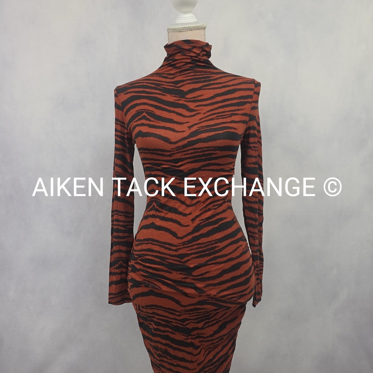 Venus Long Sleeve Dress, Size X-Small