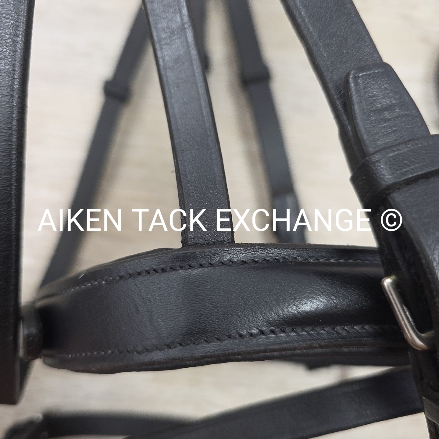 Passier Flash Bridle with Matching Cotton Web Reins, Black, Size Cob