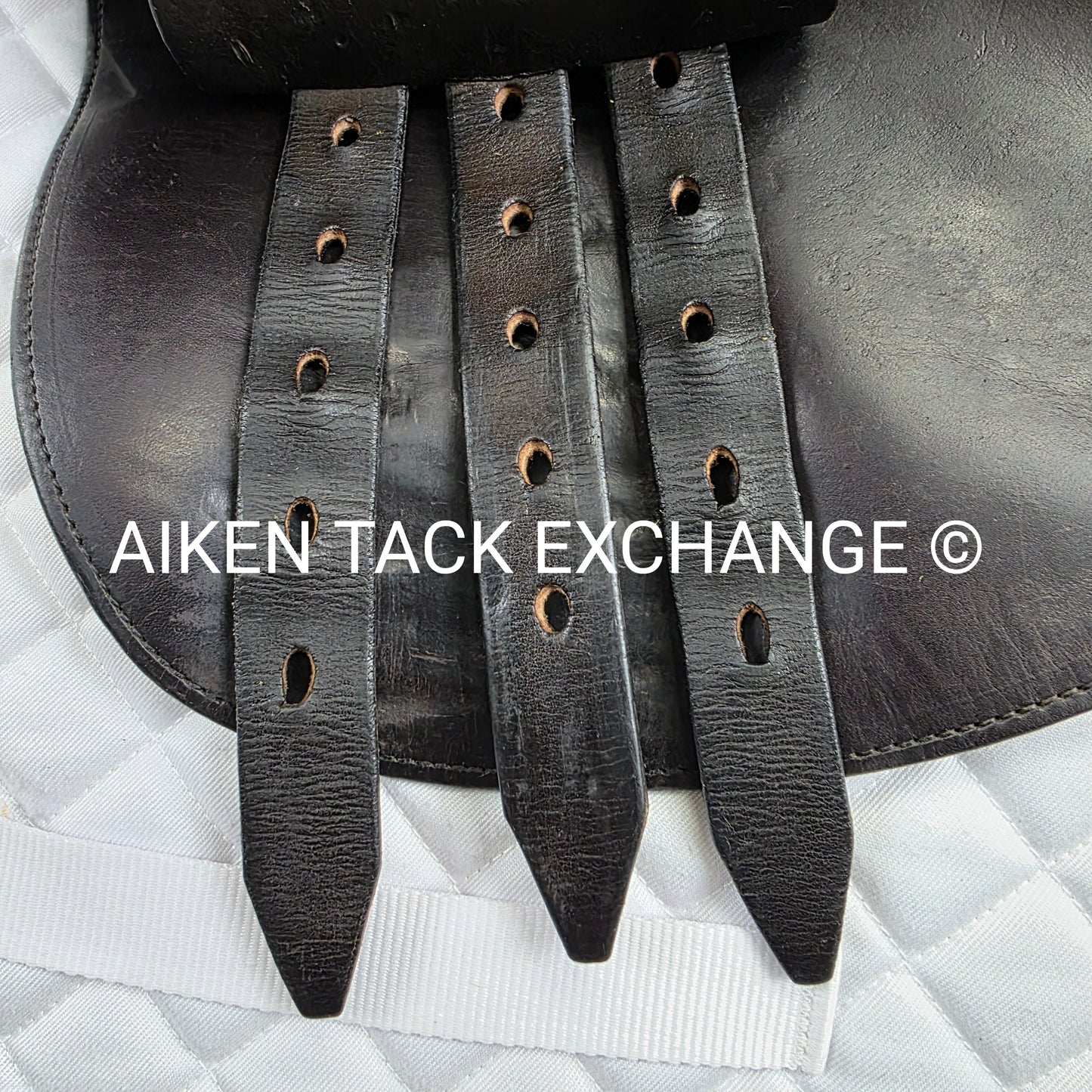 **SOLD** 2002 Schleese Leslie Jump Saddle, 17.5" Seat, Medium Wide Tree, Wool Flocked Panels