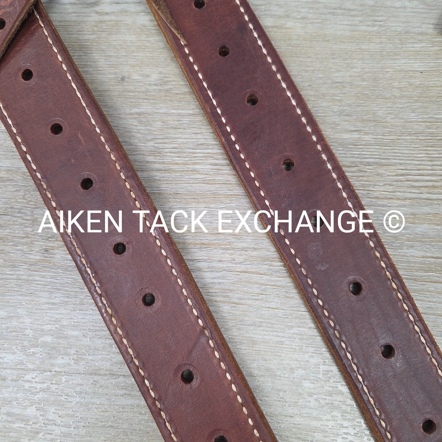 Rear Cinch Billets with Extenders