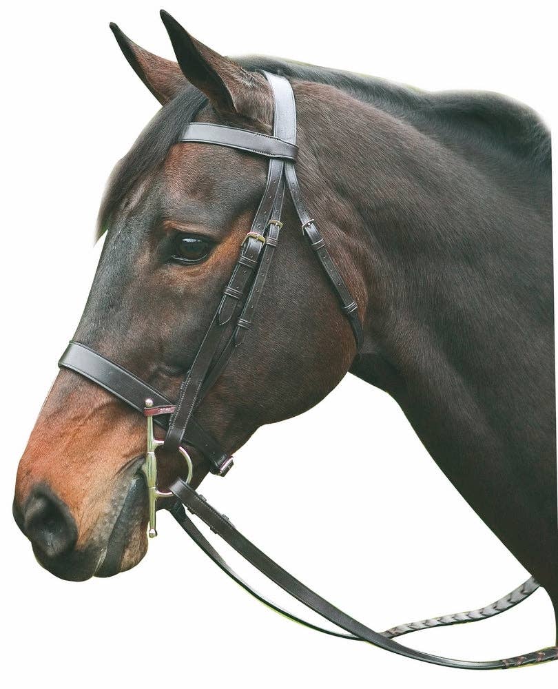 Henri de Rivel Advantage Hunt Bridle: Havana / Cob