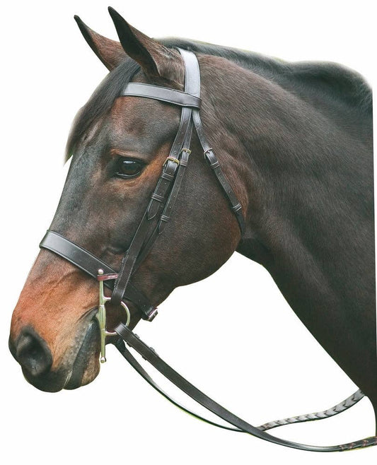 Henri de Rivel Advantage Hunt Bridle: Havana / Cob
