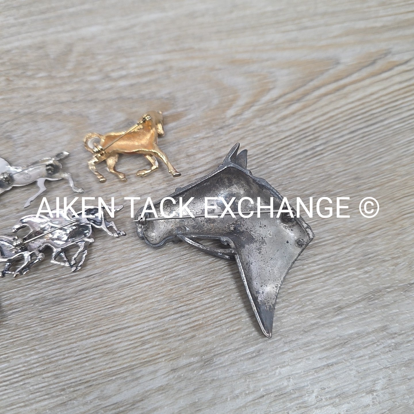 Horse Pin Bundle + 1 Horseshoe Charm