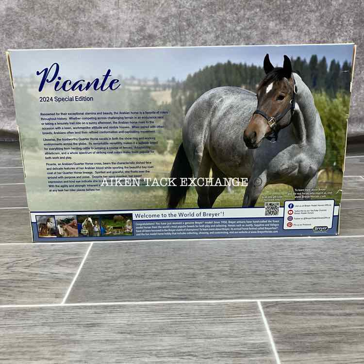 Breyer Picante 2024 Special Edition