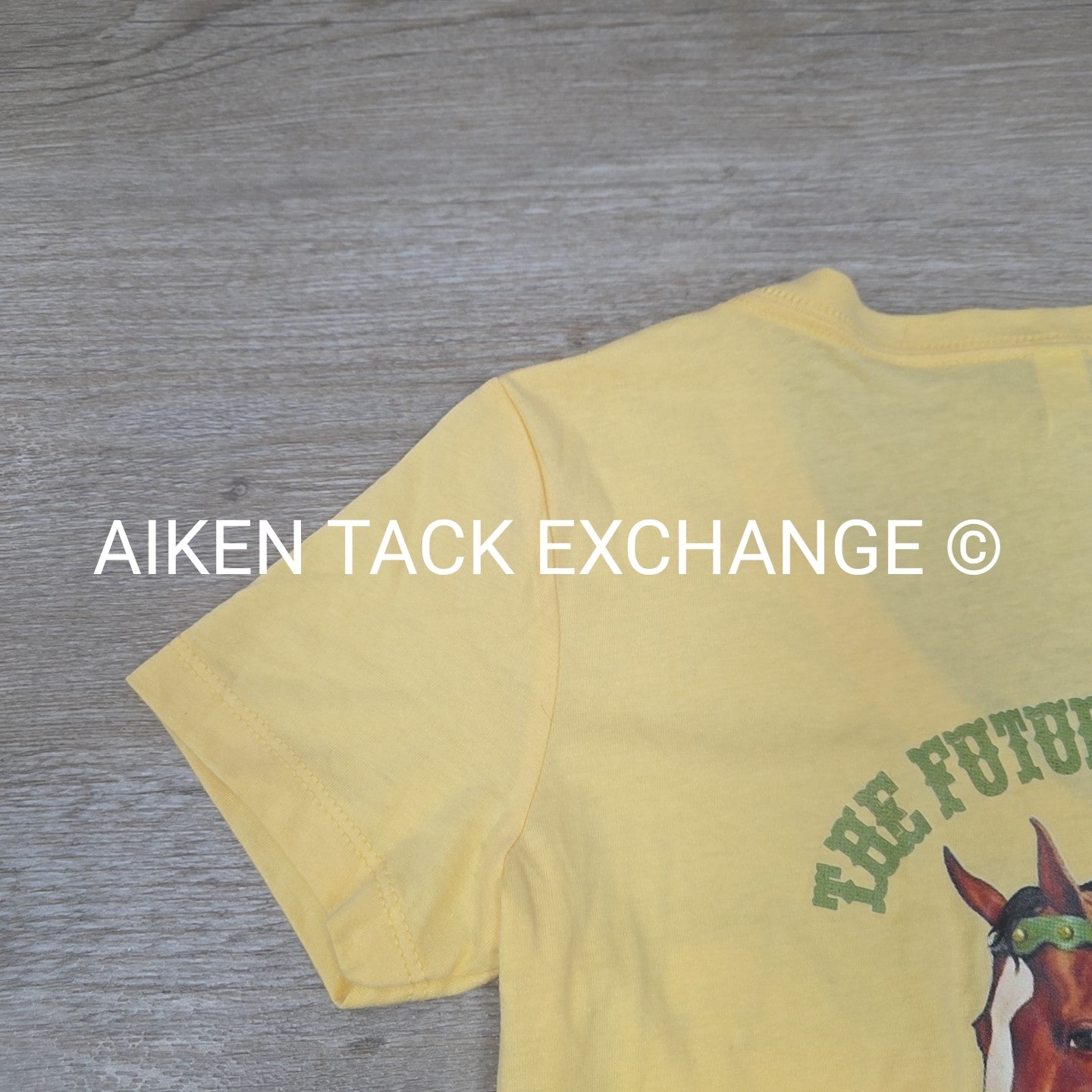 ReRun Thoroughbred Adoptions Short Sleeve Shirt, Women's Small