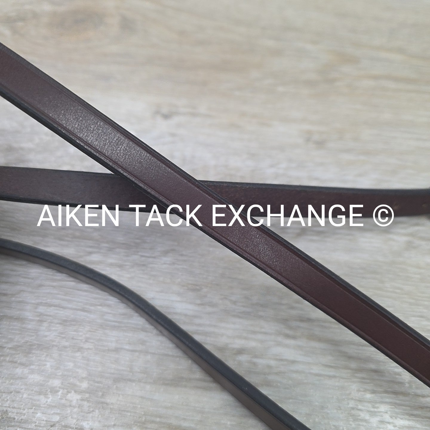 Plain Flat Standing Martingale, Brown, Size Full