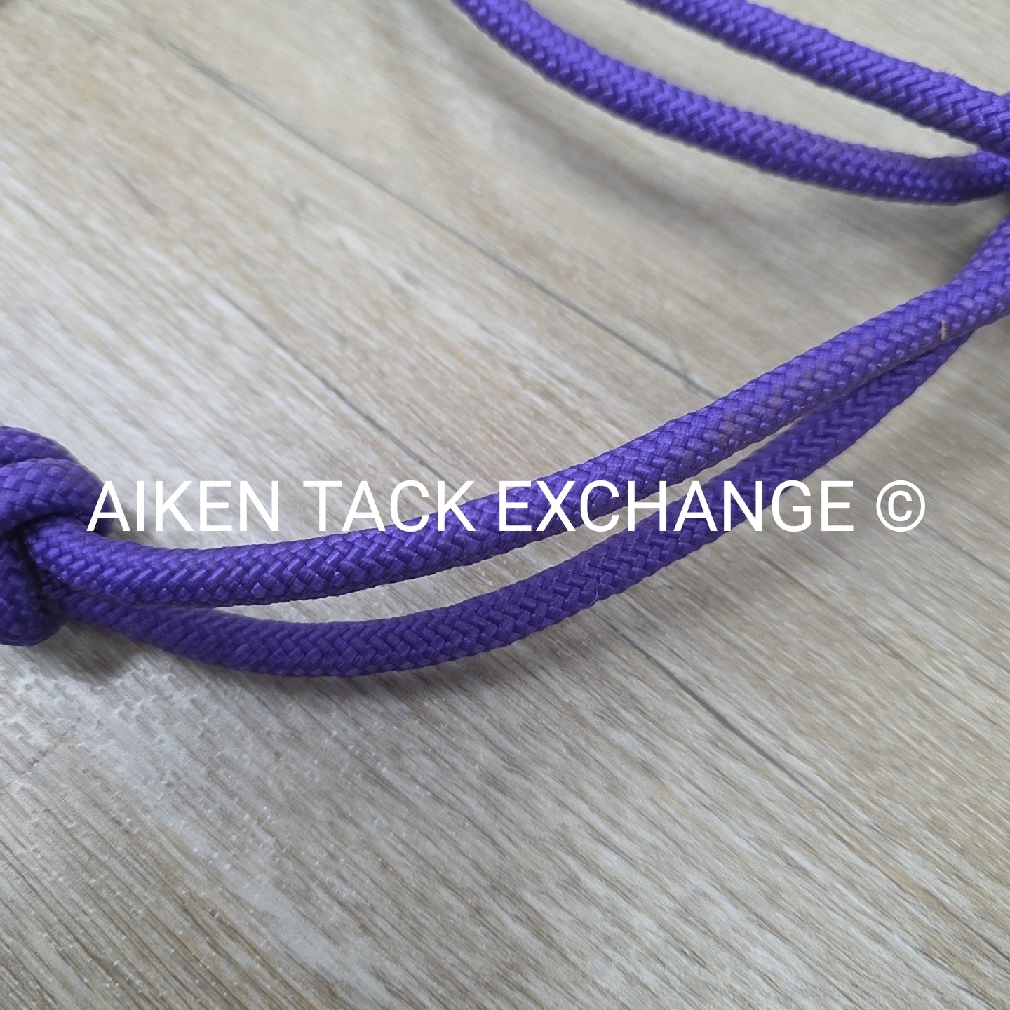 Rope Halter with Lead