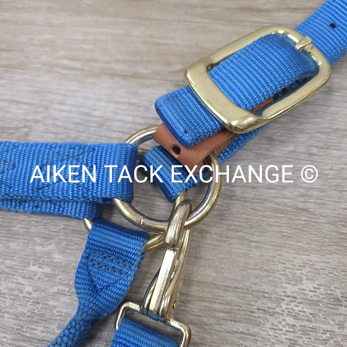 Nylon Breakaway Halter, Size Large