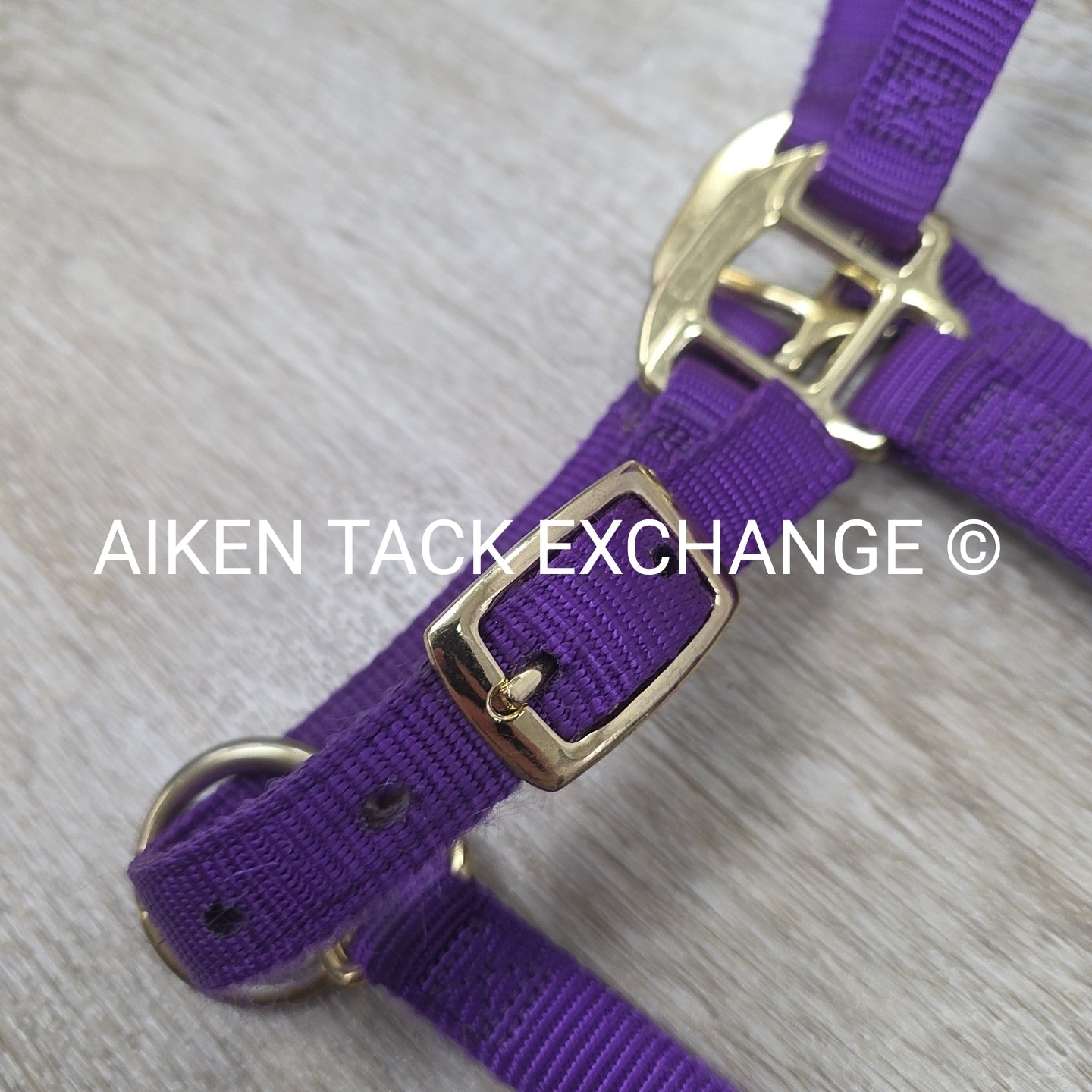 Weaver Leather Nylon Halter, Size Medium Arab