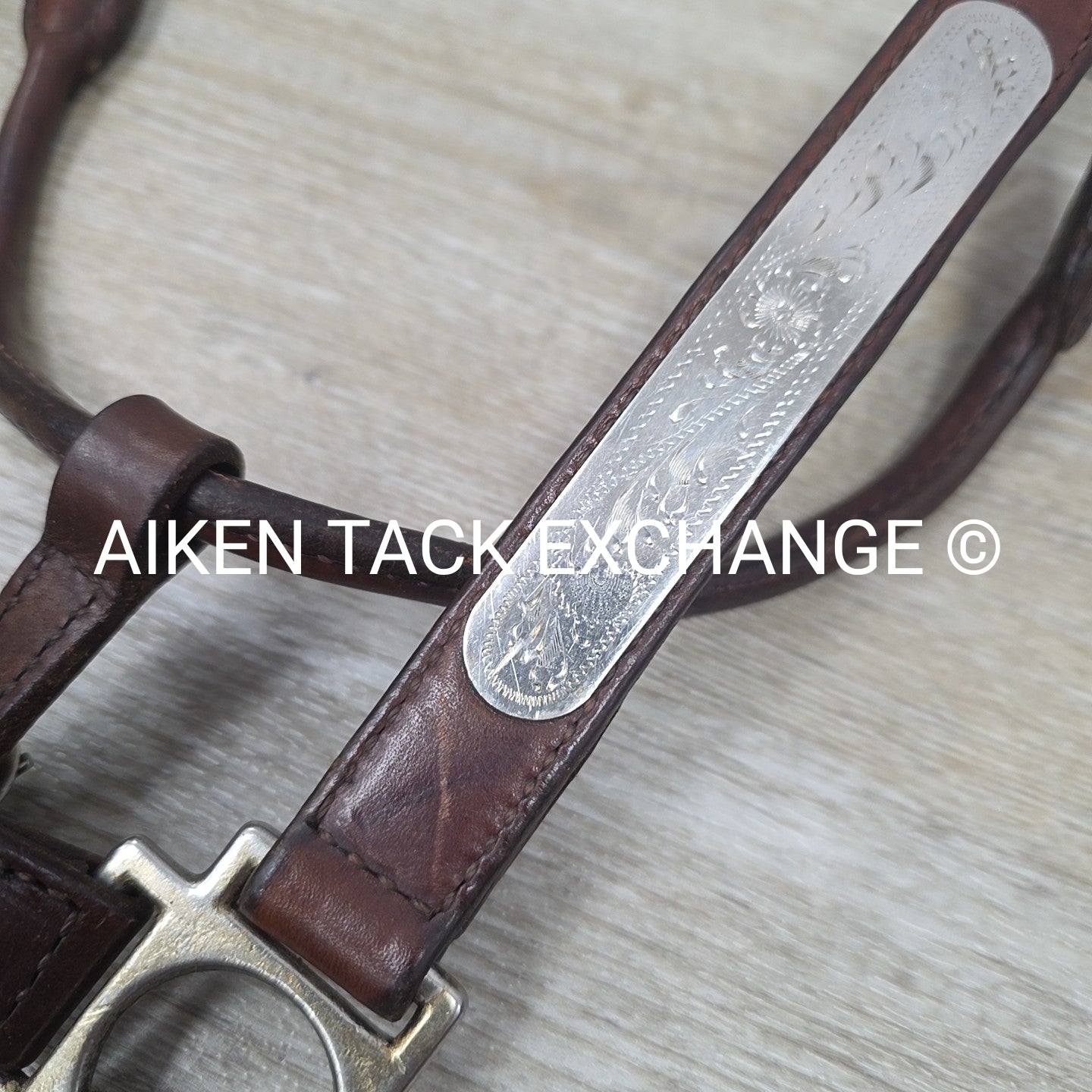 Circle Y Engraved Show Halter with Matching Lead, Size Full