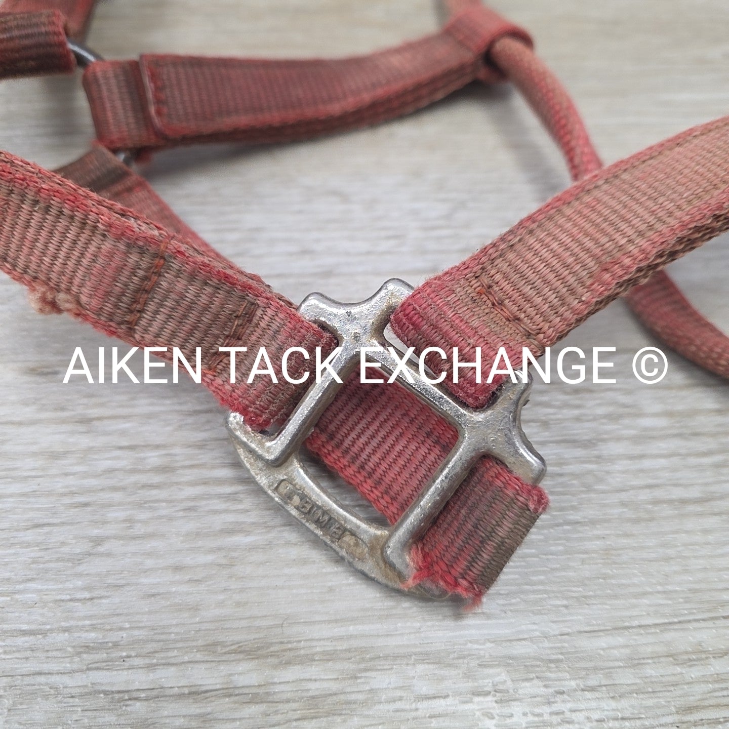 BARGAIN BUNDLE 5 Weaver Leather Nylon Halters, Size Horse