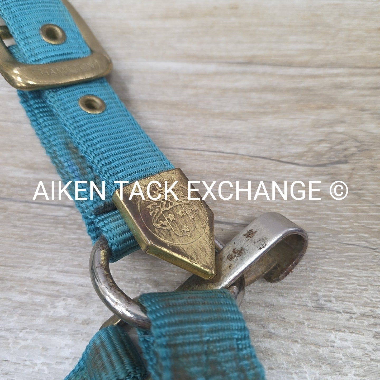 BARGAIN BUNDLE: 3 Nylon Halters, Various Sizes