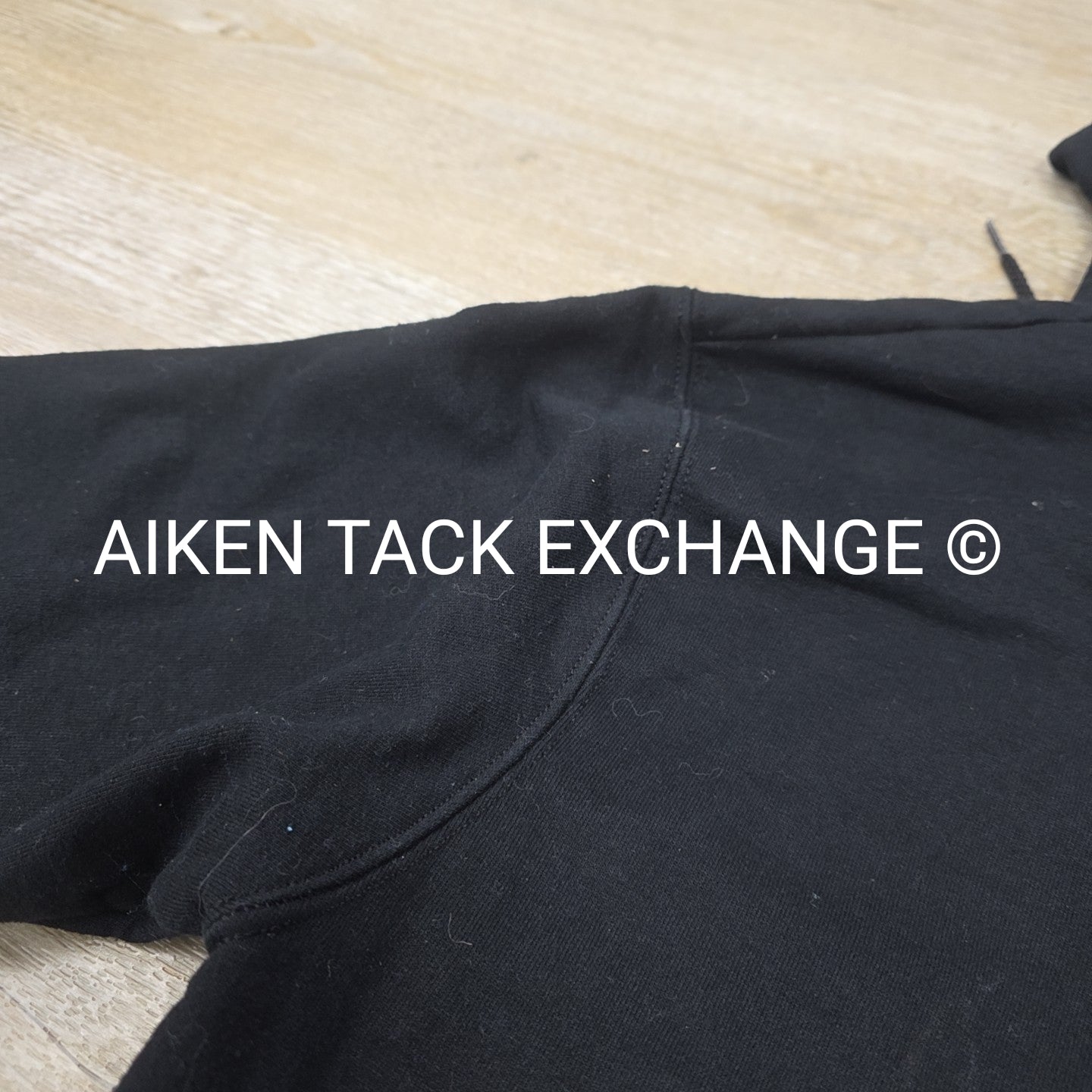 Champion horseflight.com Hoddie, Size Medium