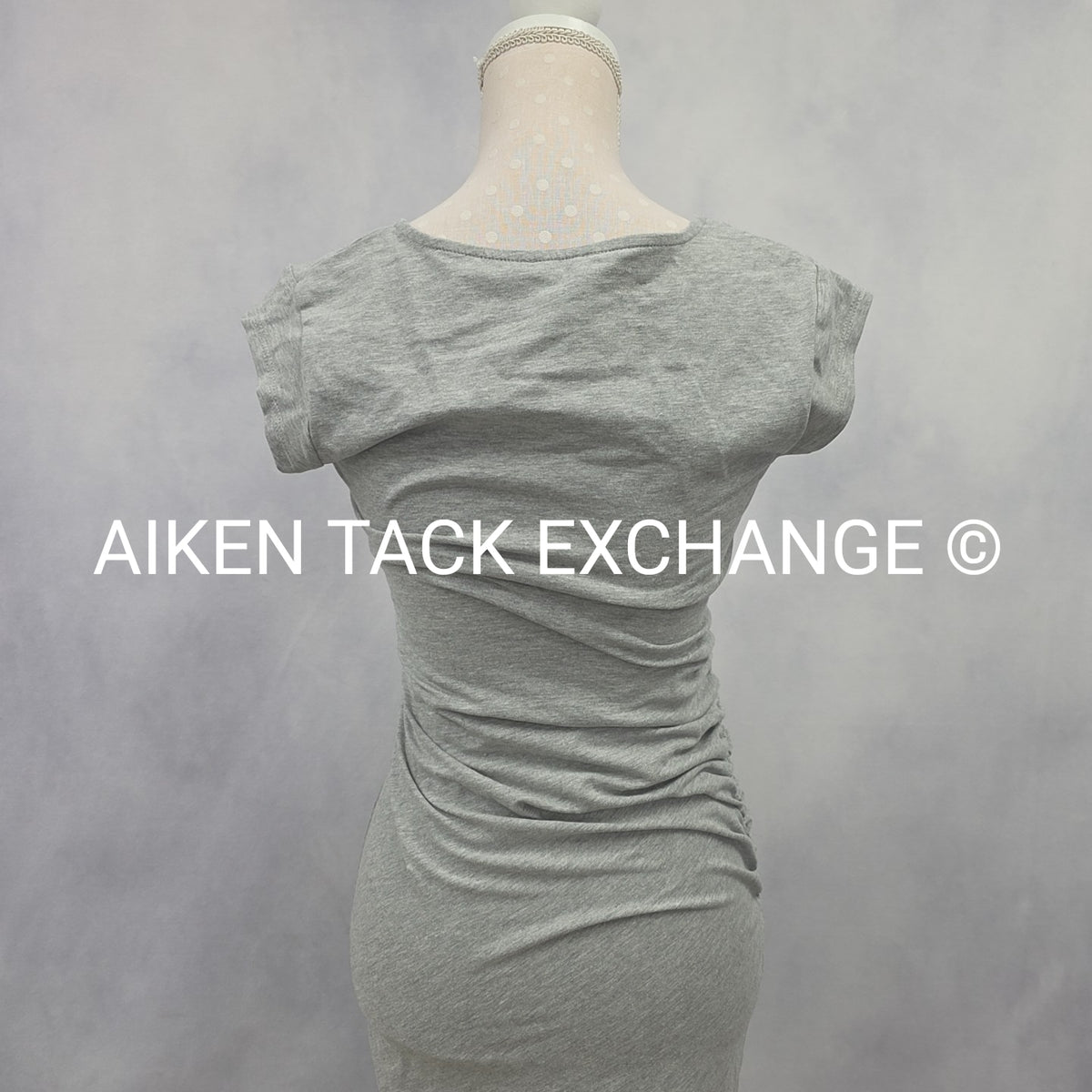 Venus T-Shirt Dress, Size X-Small