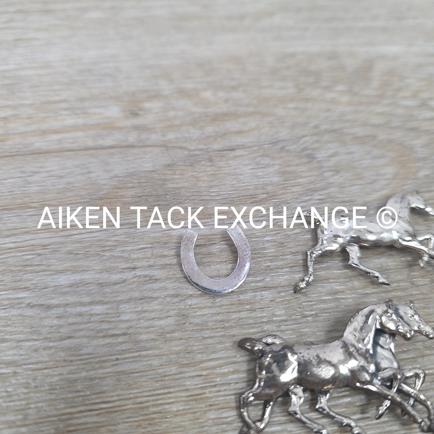 Horse Pin Bundle + 1 Horseshoe Charm