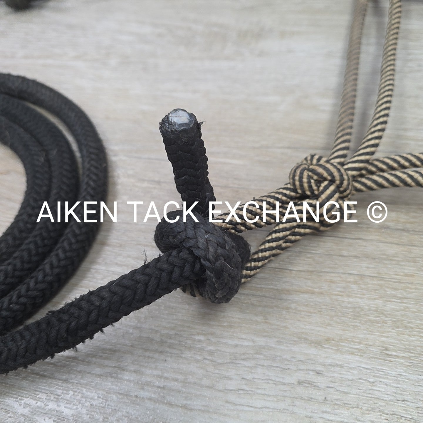 BARGAIN BUNDLE: 3 Rope Halters, 1 with Lead