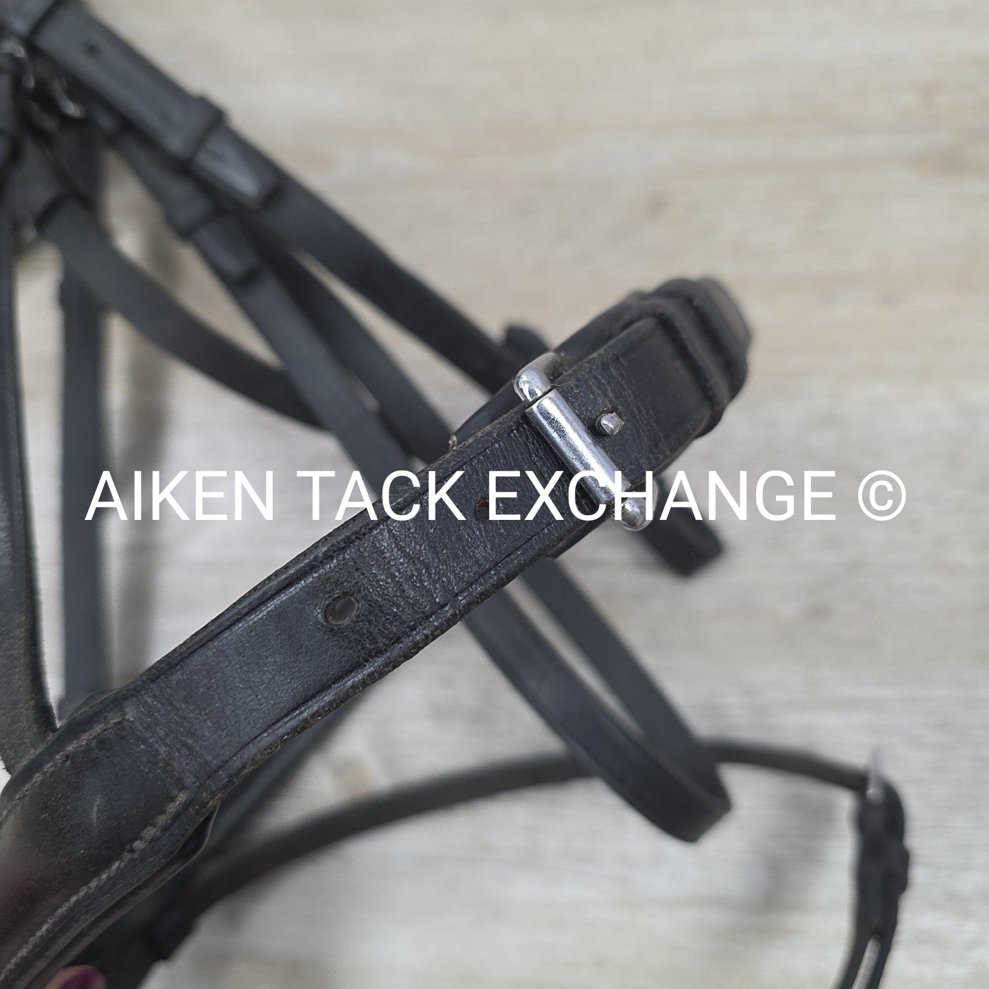 Passier & Sohn Flash Bridle with Cotton Web Reins, Black, Size Full