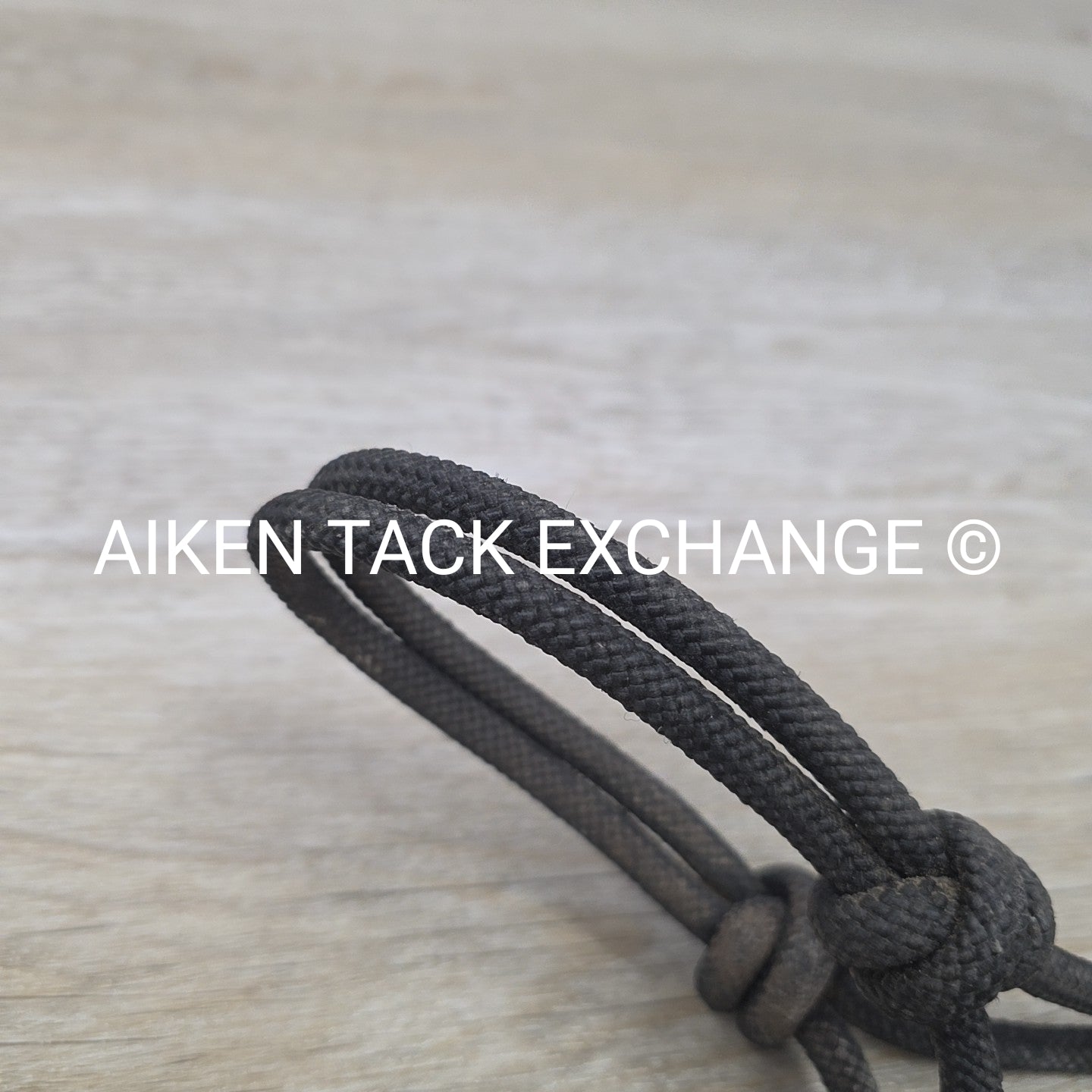 Weaver Leather Silvertip Tope Halter with Lead