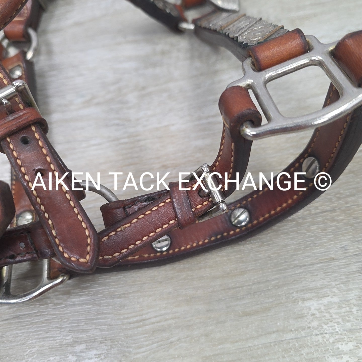 Western Show Halter, Size Foal