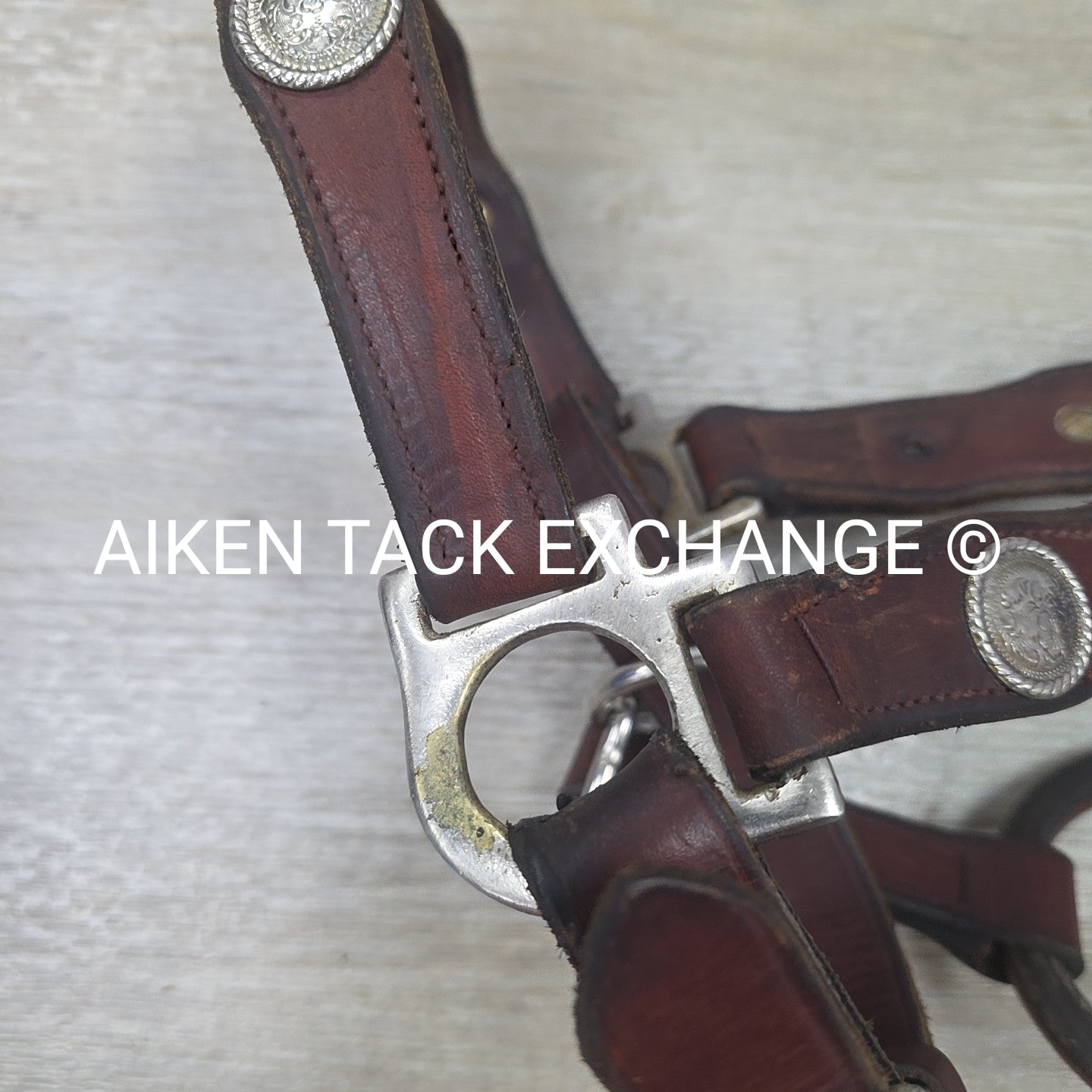Western Show Halter, Size Full