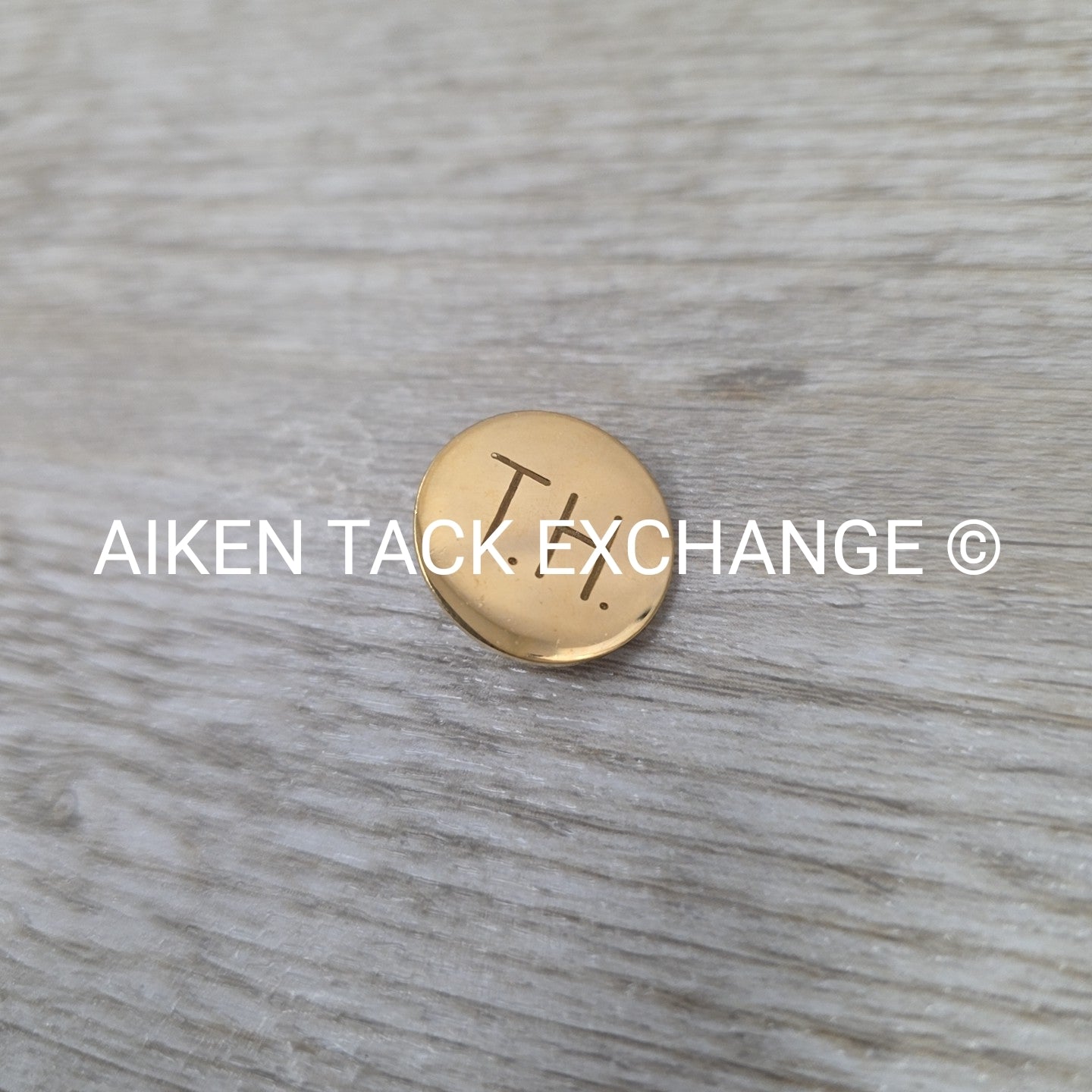 Tryon Hounds Brass Button, Large