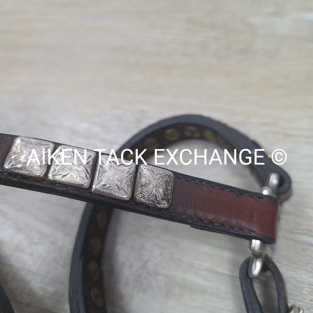 Western Show Halter, Size Foal