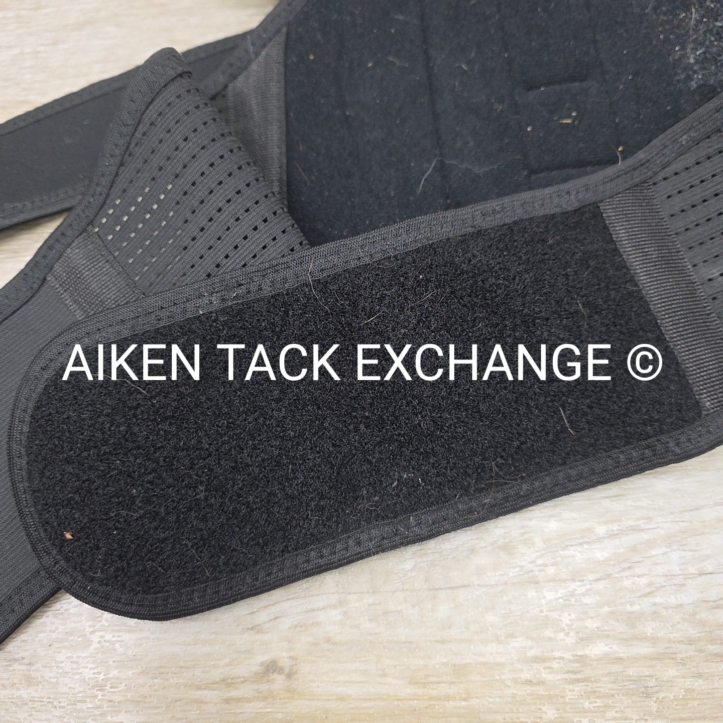 Equestorian Back Brace, Size Large