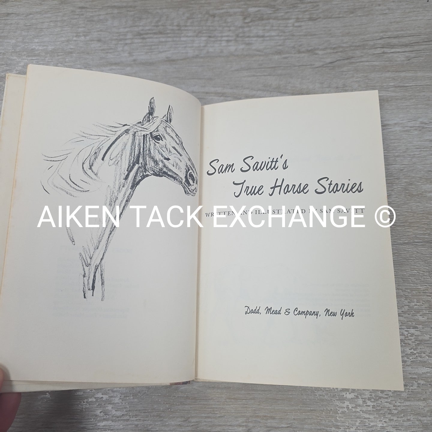 Sam Savitt's True Horse Stories by Sam Savitt