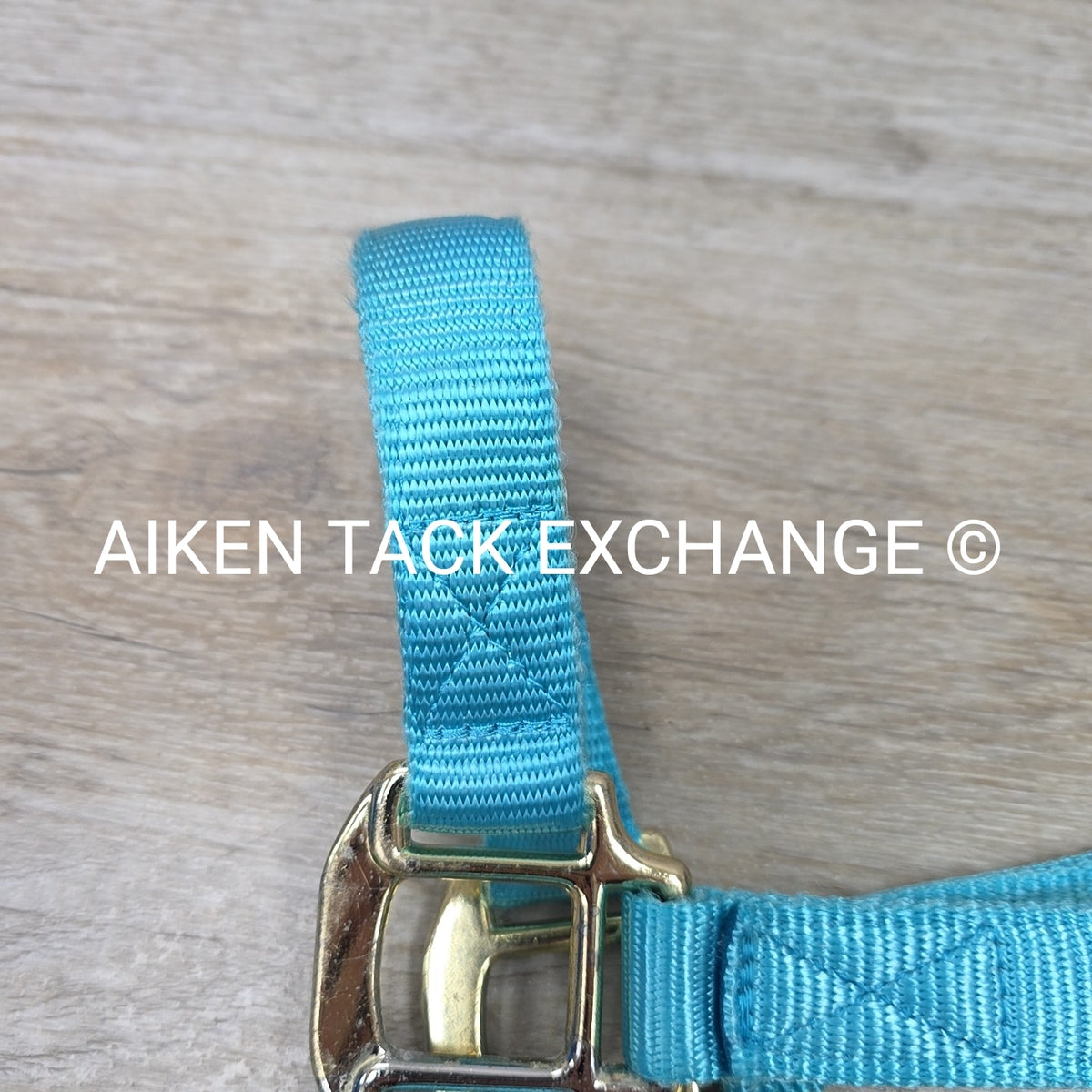 Nylon Halter, Size Cob